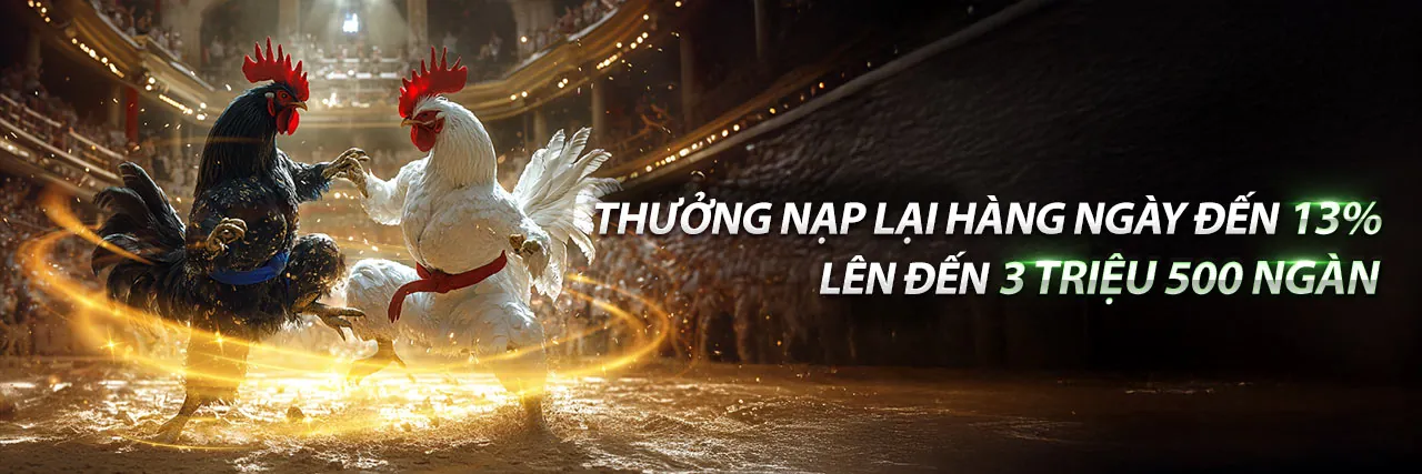 Đá gà trực tuyến 85win với trận đấu kịch tính