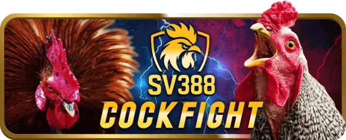 Khuyến mãi chào mừng thành viên mới 85win